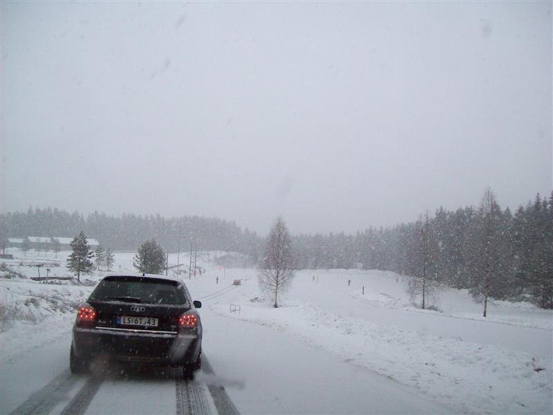 100_0007 (Medium).jpg