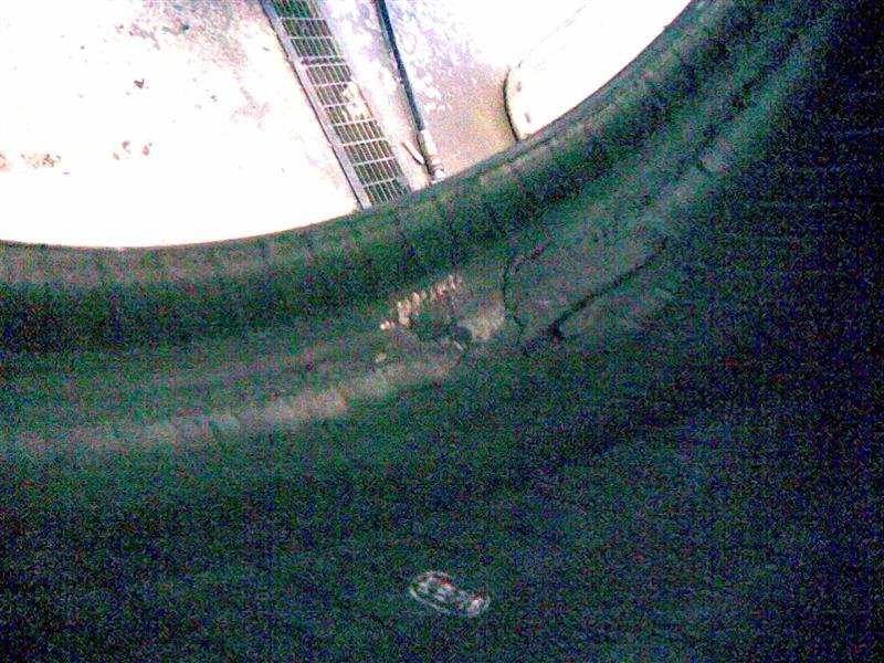 22012008(007) (Medium).jpg