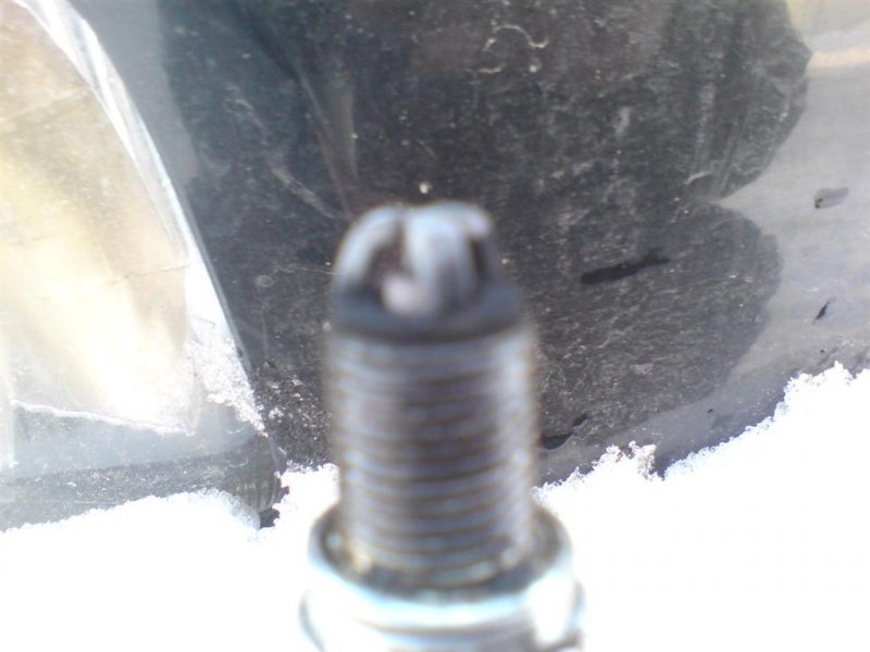 DSC00574 (Large) (3).JPG