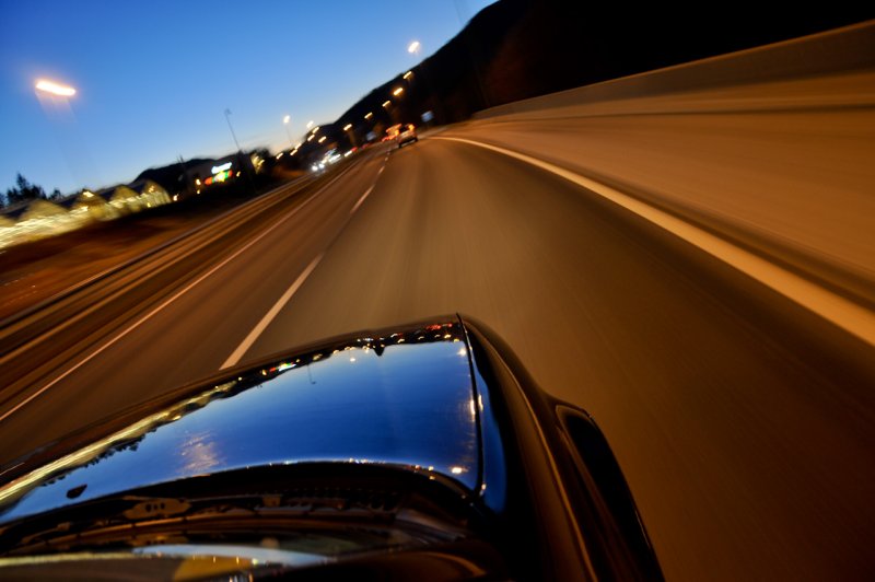 Familien på busikken.jpg