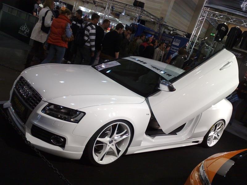 02122007088 (Medium).jpg