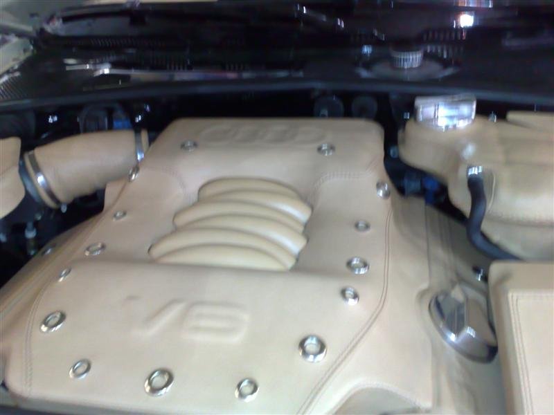 30112007056 (Medium).jpg