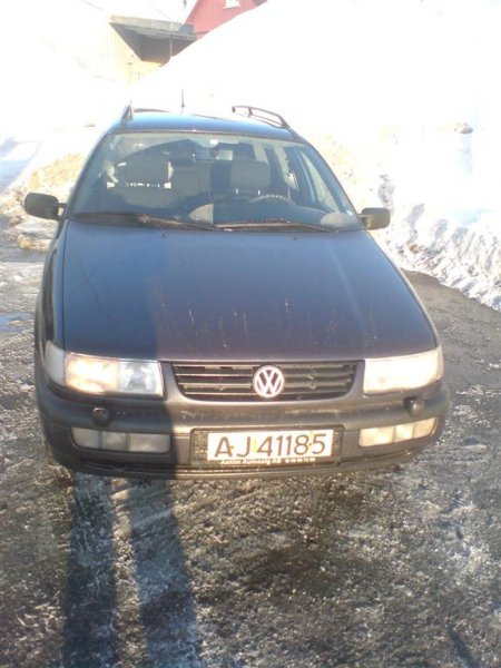 DSC00588 (Large).JPG