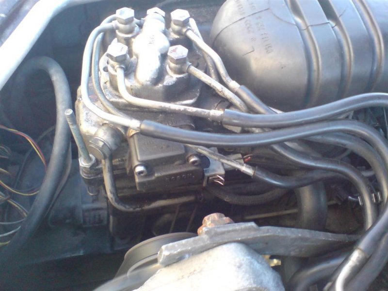 DSC00575 (Large).JPG