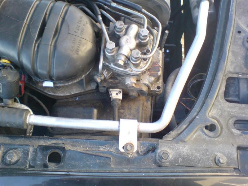 DSC00576 (Large) (3).JPG