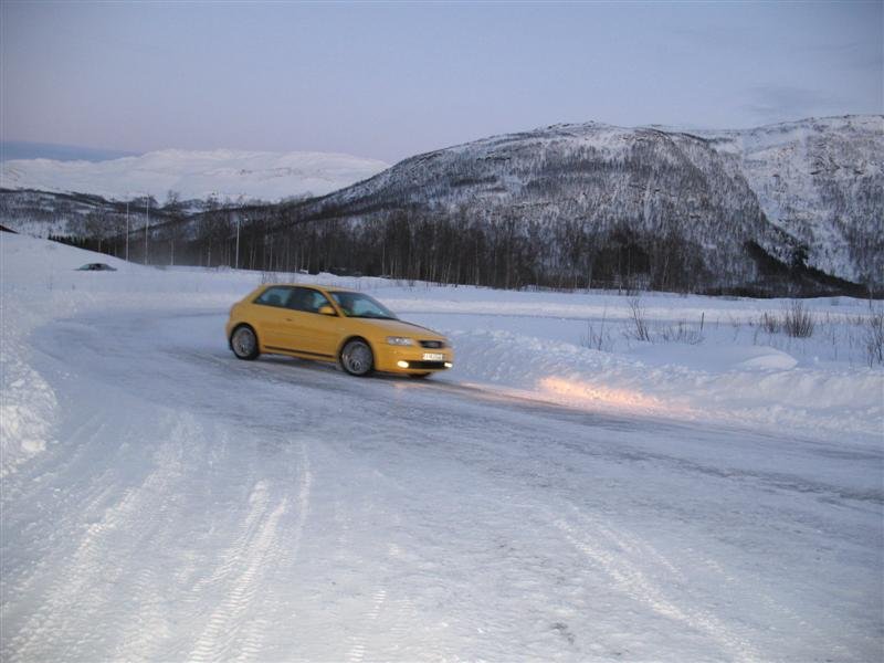 IMG_1593 (Medium).JPG