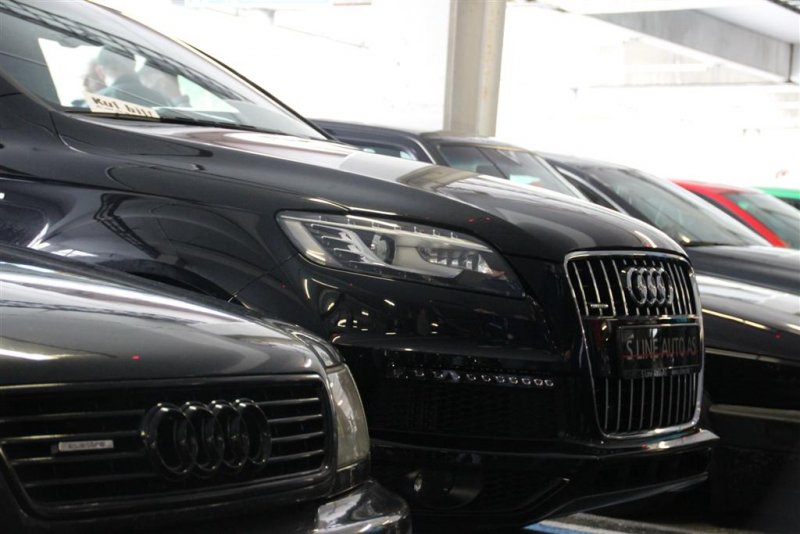 IMG_3298 (Large).JPG