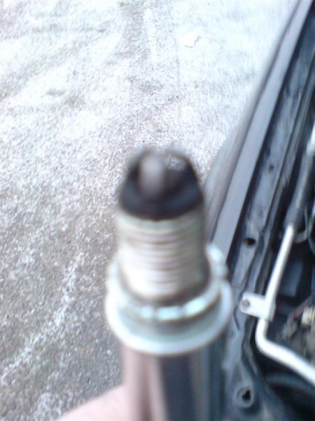 DSC00542 (Large).JPG