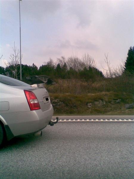 Bilde018 (Medium).jpg