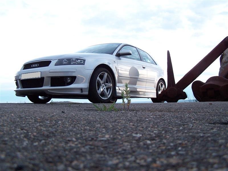 100_1405 (Medium).jpg