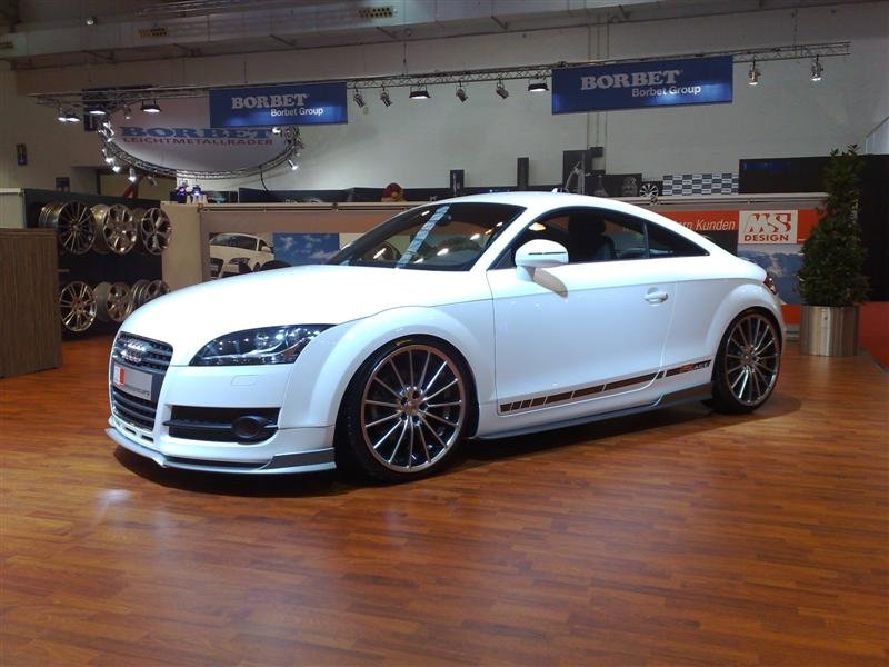 02122007096 (Medium).jpg