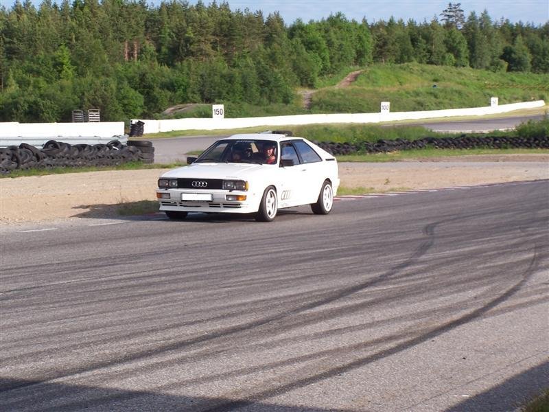 100_1002 (Medium).jpg