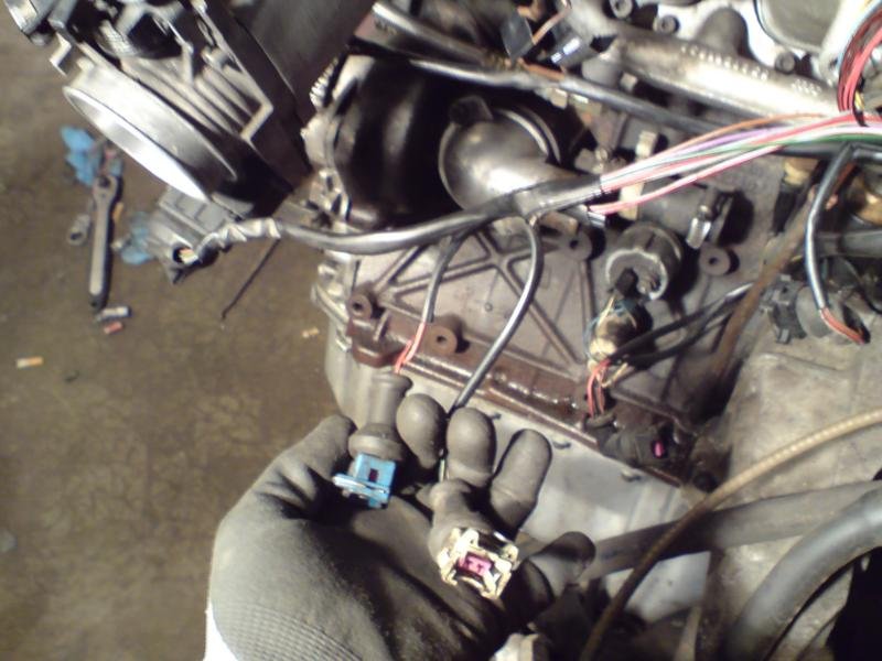 importer 213_800x600.JPG