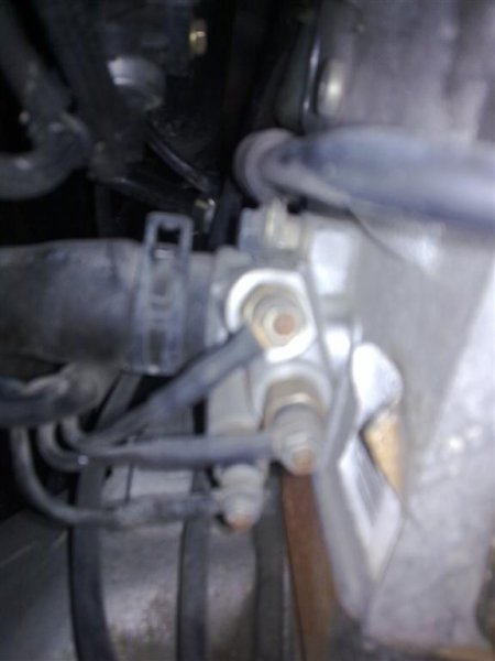 01122010098 (Medium).jpg