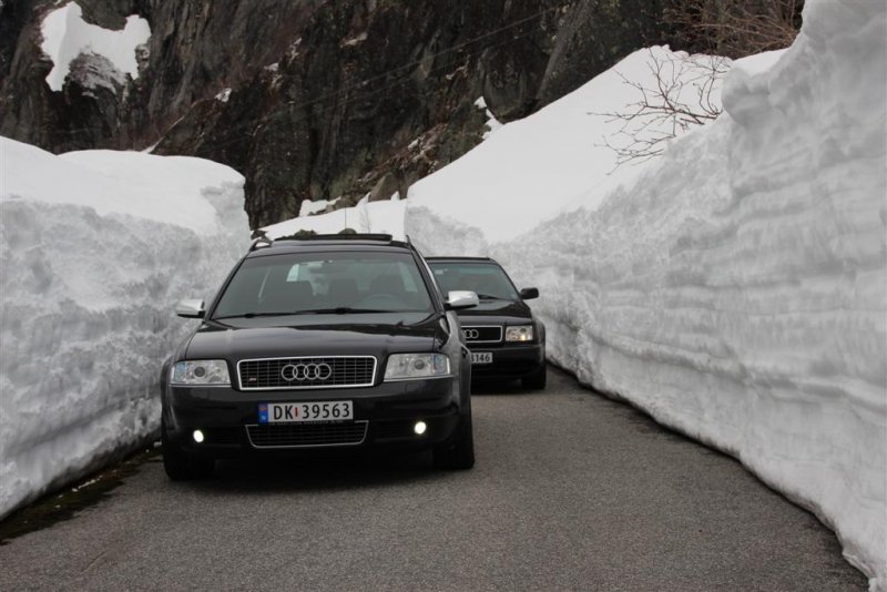 IMG_1530 (Large).JPG