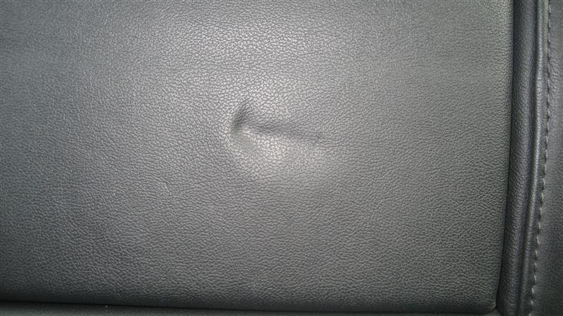 IMG_1582 (Medium).jpg