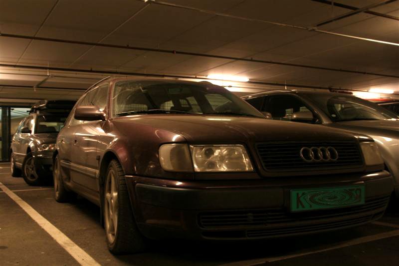 Picture 051 (Medium).jpg