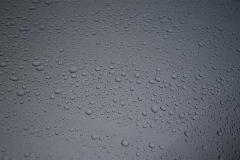 Passat_ 024 (Large).jpg