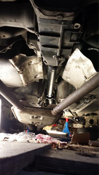 mellomaksel bakfra.jpg