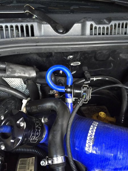 13383480_10206118081861561_294957481_o (1).jpg