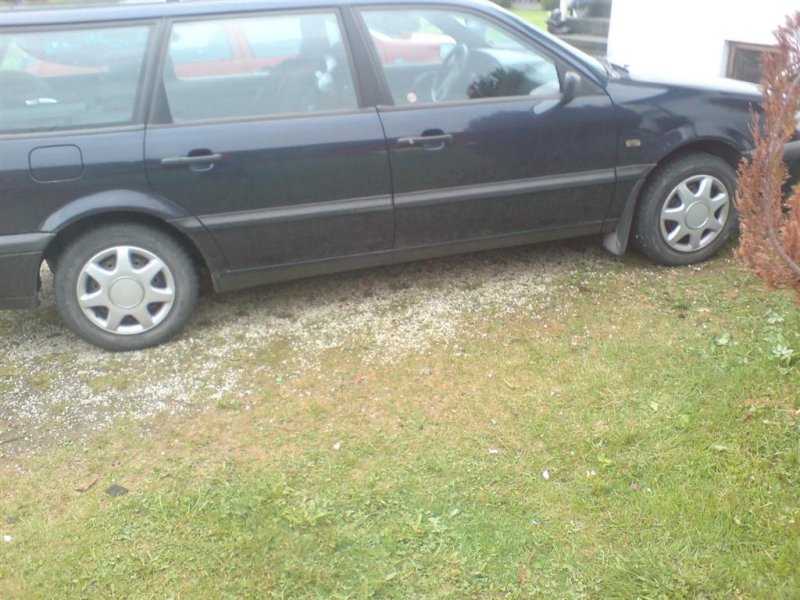 DSC00671 (Large).JPG