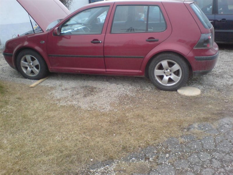 DSC00664 (Large).JPG