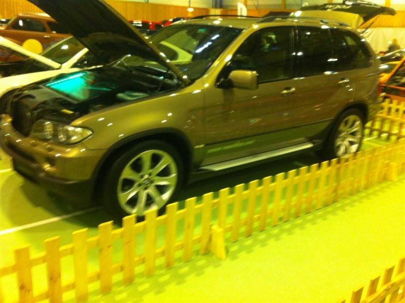 IMG_0772 (Medium).JPG