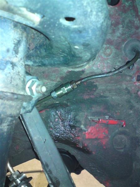 DSC00588 (Medium).JPG