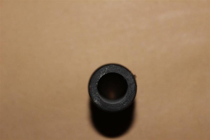 IMG_0054 (Large).JPG