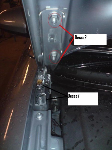 DSC00859 (Medium)1.JPG