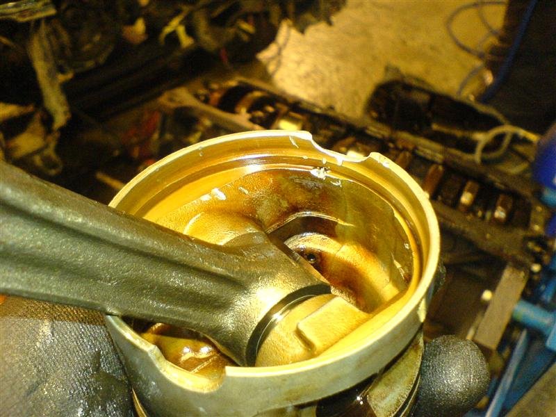 DSC01051 (Medium).JPG