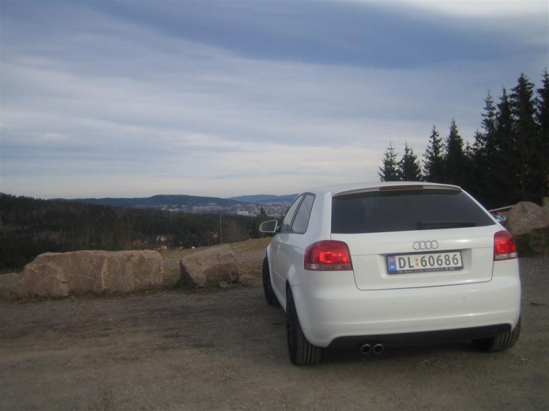 IMG_2329 (Large).JPG