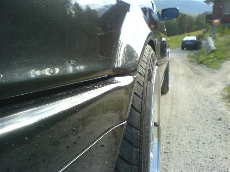 DSC01383 (Medium).JPG