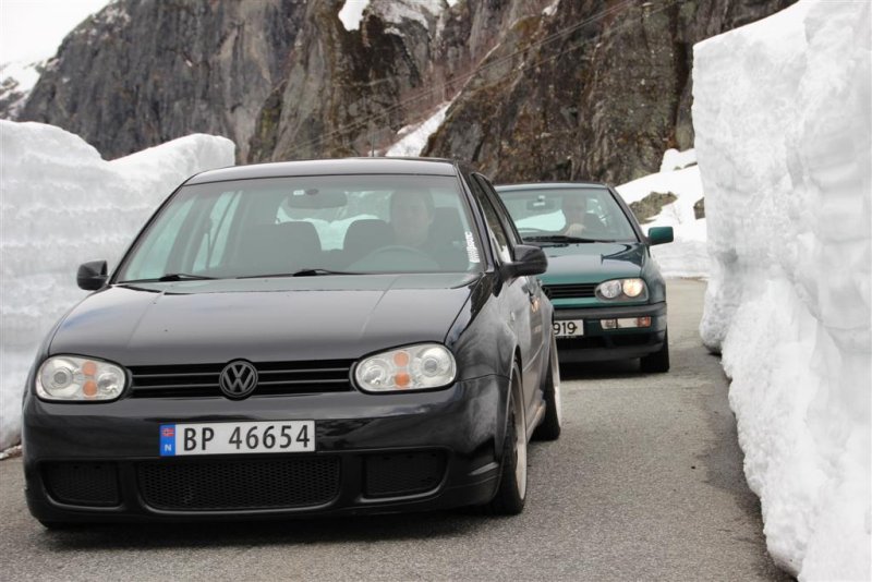 IMG_1535 (Large).JPG