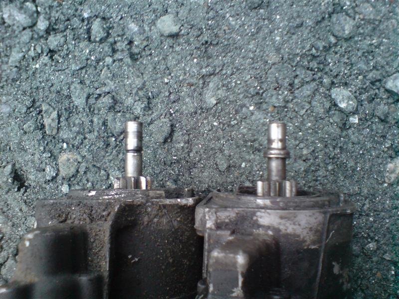 DSC00196 (Medium).JPG