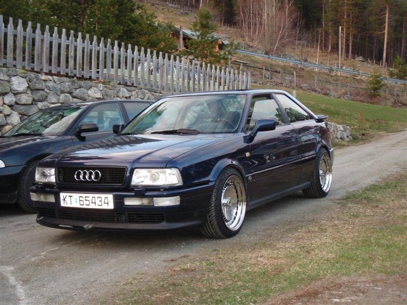 P5030630 (Medium).JPG