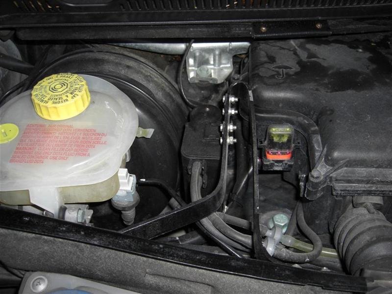 CIMG0671 (Large) (Medium).JPG