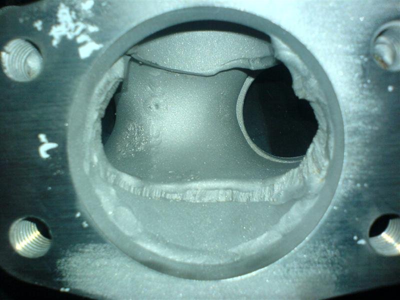 DSC00437 (Medium).JPG