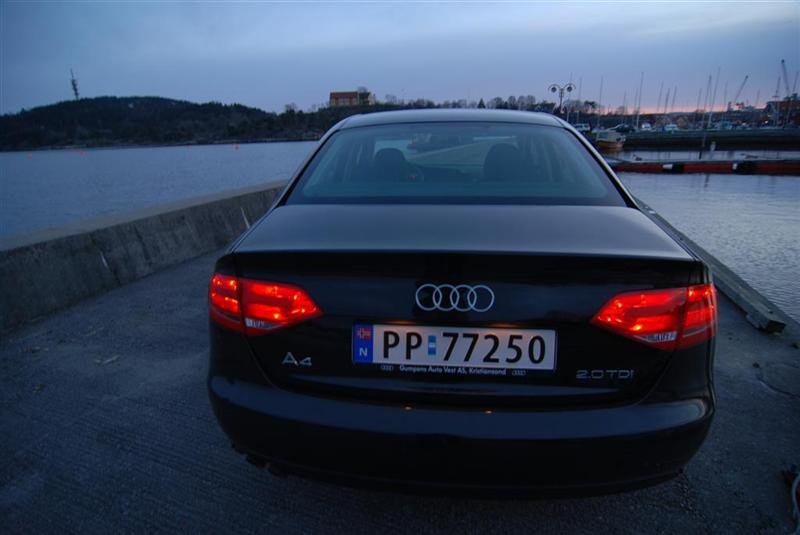 DSC_1362 (Large) (Medium).JPG