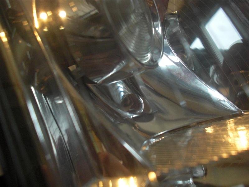 CIMG1903 (Medium).JPG