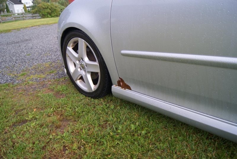 selge golfen 027.jpg