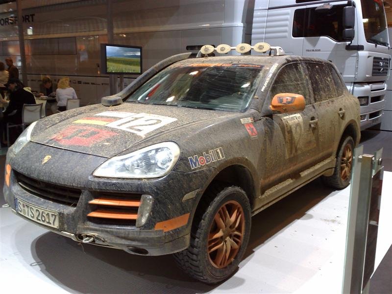 30112007041 (Medium).jpg