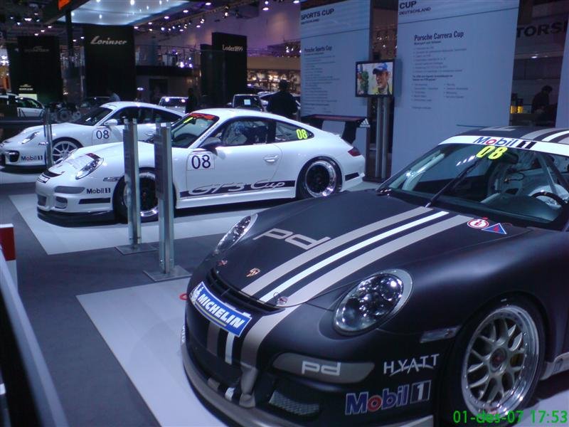 DSC00479 (Medium).JPG