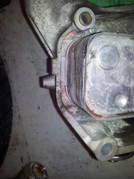 Olje (1) (Large).jpg