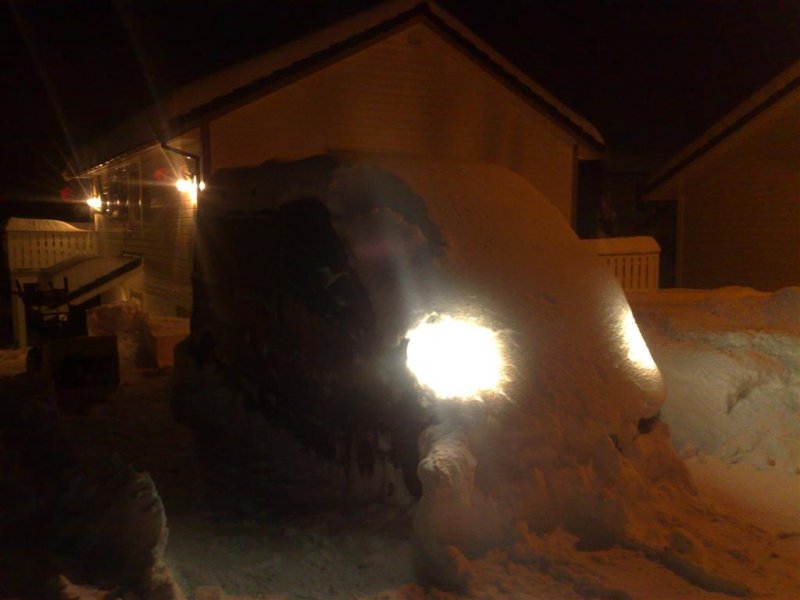 08022009655 (Large).jpg