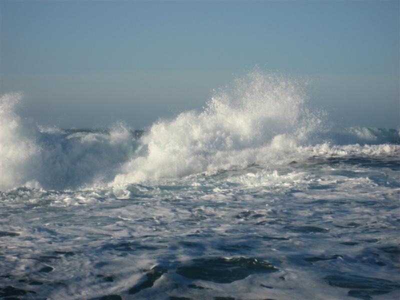 IMG_1765 (Medium).jpg