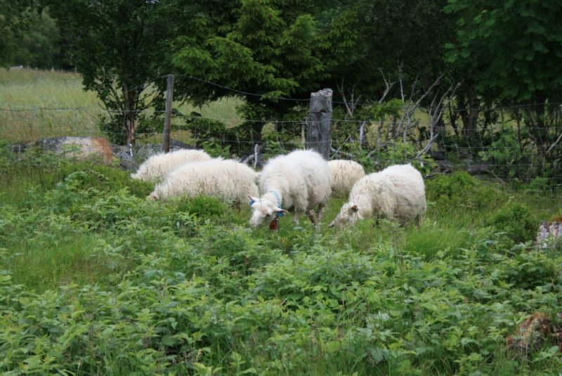 IMG_4899 (1024 x 684).jpg