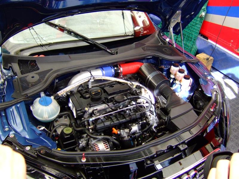 Div0020 (Medium).JPG