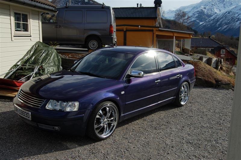 DSC_0050 (Custom).JPG