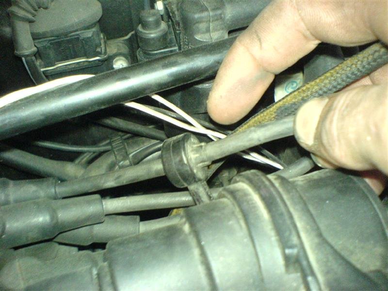 DSC01391 (Medium).JPG